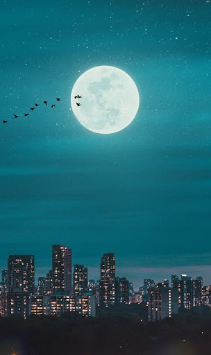 Android application City Wallpapers screenshort