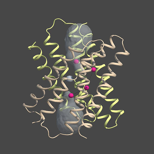 MacromoleculAR Download on Windows