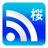 日本のニュース 桜 icon