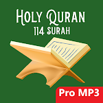 Holy Quran 114 Surah With Voice - Premium app 2021 Apk