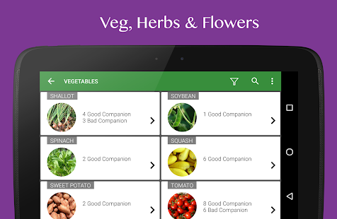Plants, Vegetables & Herbs, Info + Care Reminders