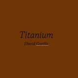 Titanium Lyrics icon