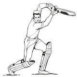 Lina Sports Cricket icon