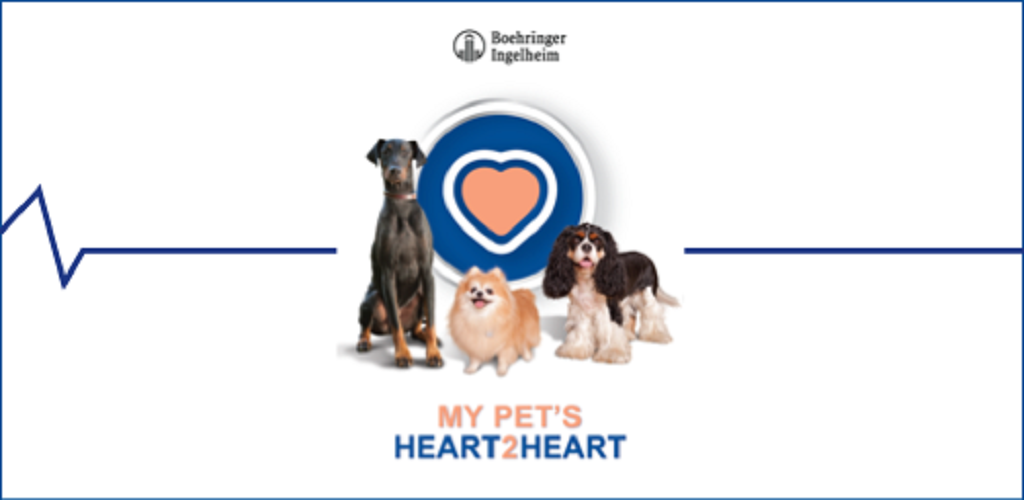 Pet heart. Мой мир Pet`s World. My Pet Sofia app.