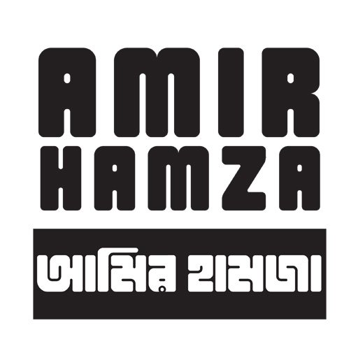 Amir Hamza Net logo
