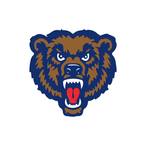 Danville CSD logo