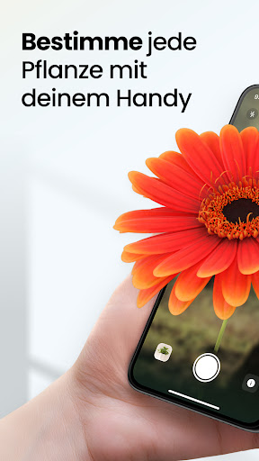 App-Vorschau