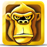 Temple Kong: Jungle Run icon