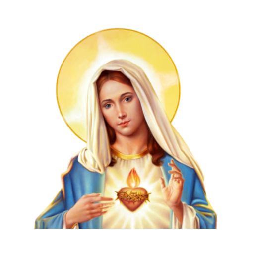 Virgen María  Jesús Stickers para Whatsapp ?