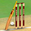 CWD: cricket games offline