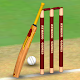 Cricket World Domination - a cricket game for all