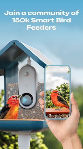 Bird Buddy: Tap into nature - Apps on Google Play