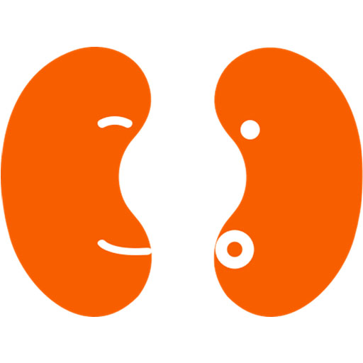 北榮腎臟寶鑑 logo