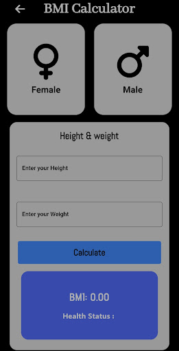 Body Gauge Screen 2