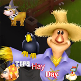 Tips For Hay Day icon
