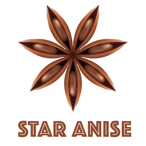 Star Anish logo