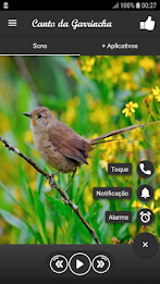 Canto da Garrincha poster 2