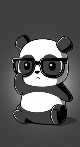 Cute Panda Wallpaper HD