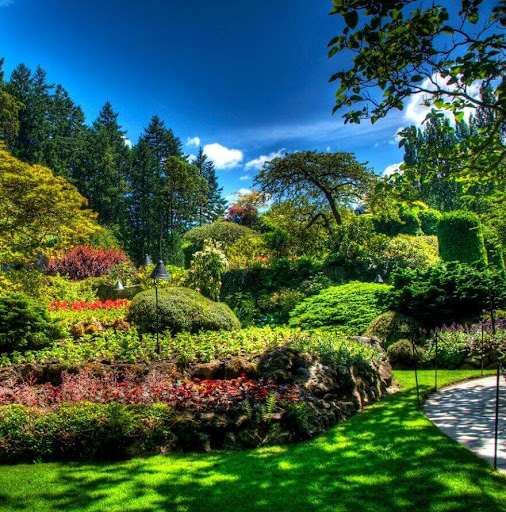 Beautiful Garden Wallpaper Screen 3