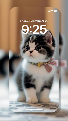 Cat Wallpaper Screen 2