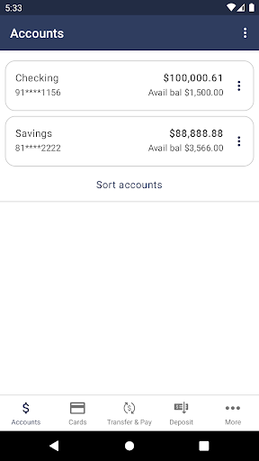 1NB Bank Screen 3