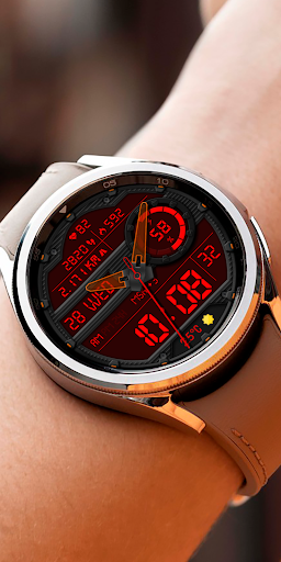 DARDONUS CTS28 Watch face
