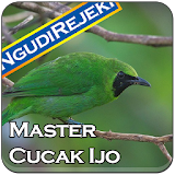 Master Kicau Cucak Ijo icon