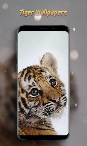 タイガー壁紙オフライン By Shamitech Apps Google Play Japan Searchman App Data Information
