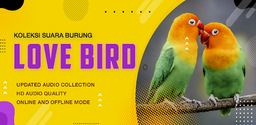Koleksi Suara Burung Lovebird
