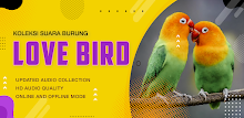 Koleksi Suara Burung Lovebird APK