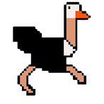 Ostrich Runner 2D