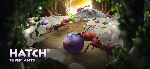 As formigas: reino subterrâneo