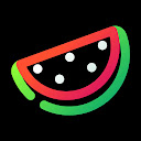 Watermelon - Lines Icon Pack