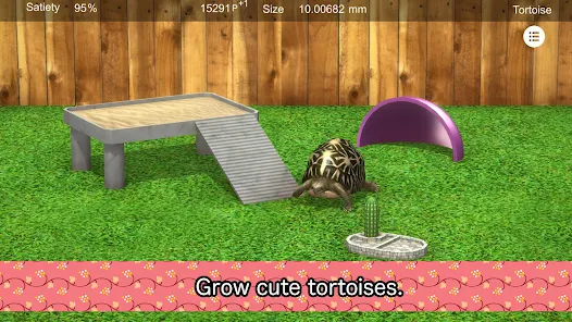Tortoise to grow relaxedly