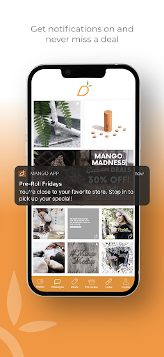 Mango Cannabis Co. Screen 3