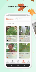FindPlant - Plant identification Screenshot