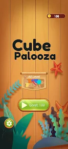 Cube Palooza