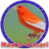 Master Kenari MP3 icon