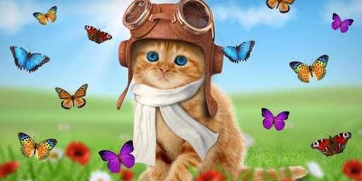 Sweet cats, live wallpaper