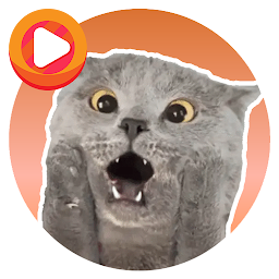 Icon image WASticker Cat Memes