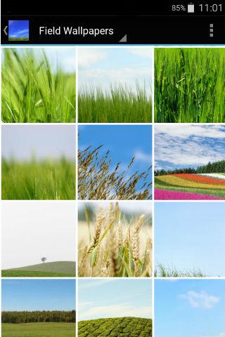 Field Wallpapers Screen 2