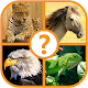 Animal Trivia Quiz - Guess the Animal Game