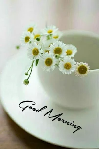 Good Morning & Flowers - Image