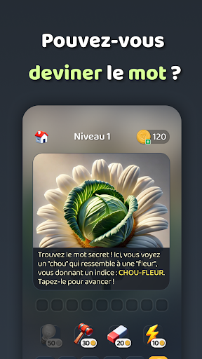 Aperçu de l'application