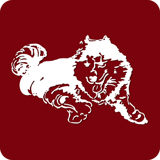 Olean City School District logo