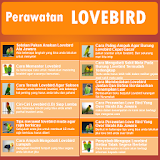 Perawatan Burung Lovebird icon
