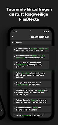 Wildpfad Screen 2