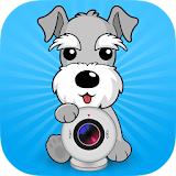 Live Puppy Cam icon