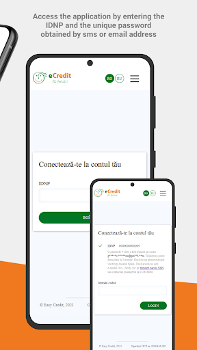 eCredit Screen 3