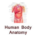 Cover Image of Download Human body anatomy tips hindi  APK